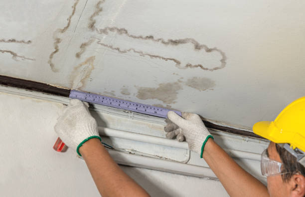 Reliable Structural Drying contractor in Pisgah Forest, NC by Water Damage Irwin